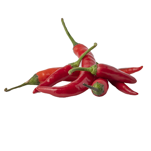 Red Bullet Chilli - Image 6